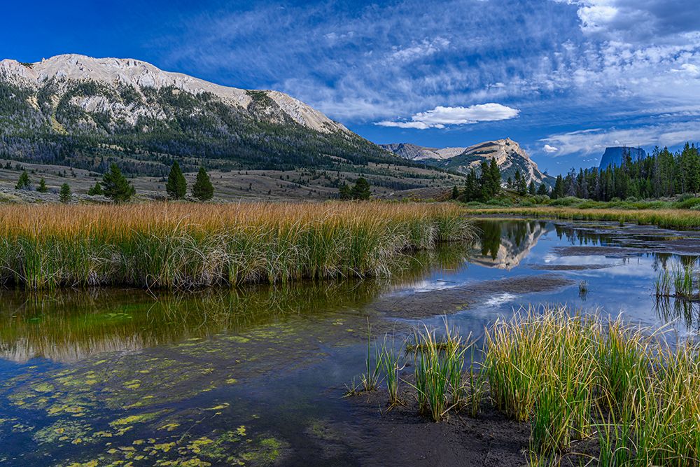 USA-Wyoming-White Rock Mountain and Squaretop Peak above Green River wetland art print by Howie Garber for $57.95 CAD