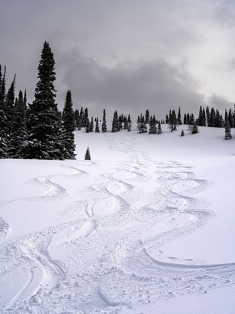 USA-Wyoming. Ski tracks in powder near Jackson Hole. art print by Howie Garber for $57.95 CAD