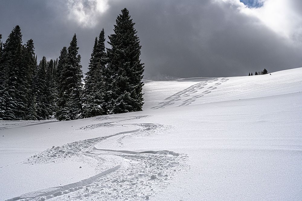USA-Wyoming. Ski tracks in powder near Jackson Hole. art print by Howie Garber for $57.95 CAD