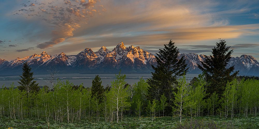 USA-Wyoming Panoramic of Teton Mountains with Aspen and evergreen trees art print by Howie Garber for $57.95 CAD