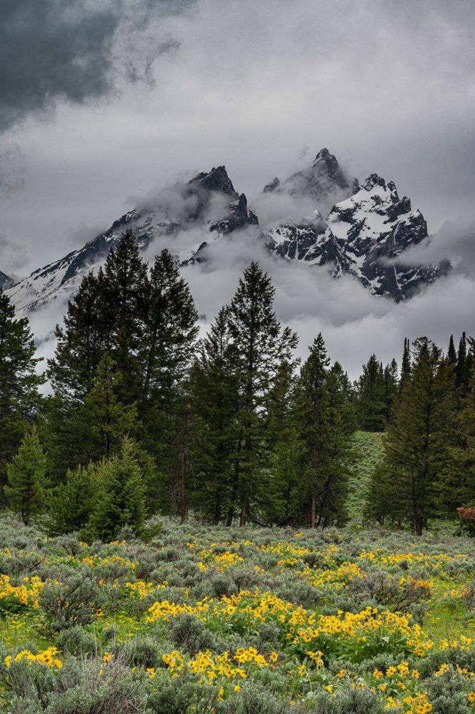 USA, Wyoming. Cathedral view of Mount Teewinot, Grand Teton and Mount Owen art print by Howie Garber for $57.95 CAD