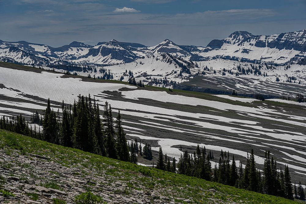 USA, Wyoming. Snowy landscape of early summer, Jedediah Smith Wilderness. art print by Howie Garber for $57.95 CAD