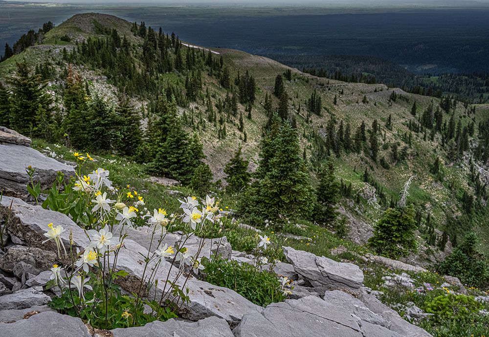 USA, Wyoming. Columbine and Beards Mountain. West side of Tetons. art print by Howie Garber for $57.95 CAD