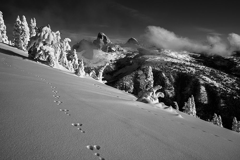 USA, Wyoming. BAndW photo of rabbit tracks in snow and landscape on west side of Teton Range. art print by Howie Garber for $57.95 CAD