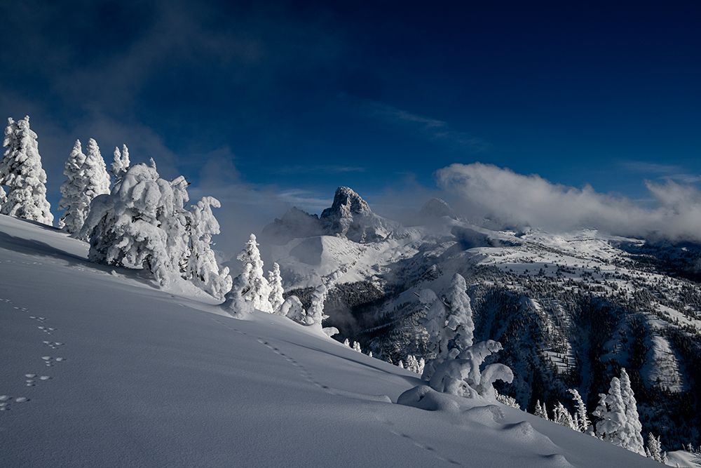 USA, Wyoming. Rabbit tracks and snowy landscape on west side of Teton Range. art print by Howie Garber for $57.95 CAD