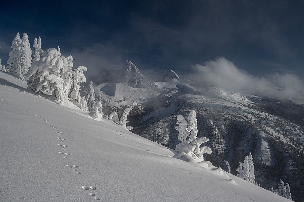 USA, Wyoming. Snowshoe hare tracks in snow and Teton Range in distance. art print by Howie Garber for $57.95 CAD