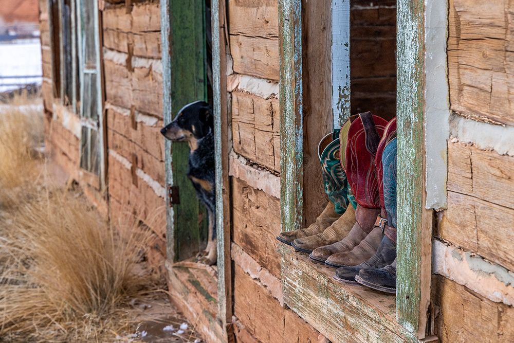 USA- Wyoming. Hideout Horse Ranch- boots on display. art print by Hollice Looney for $57.95 CAD