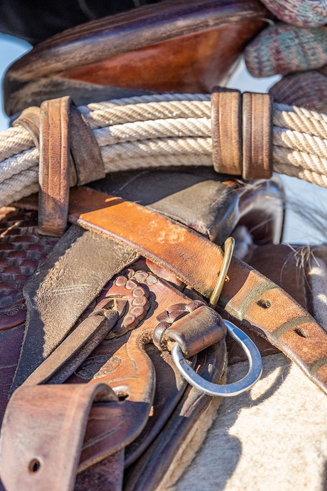 USA- Wyoming. Hideout Horse Ranch- saddle detail. art print by Hollice Looney for $57.95 CAD