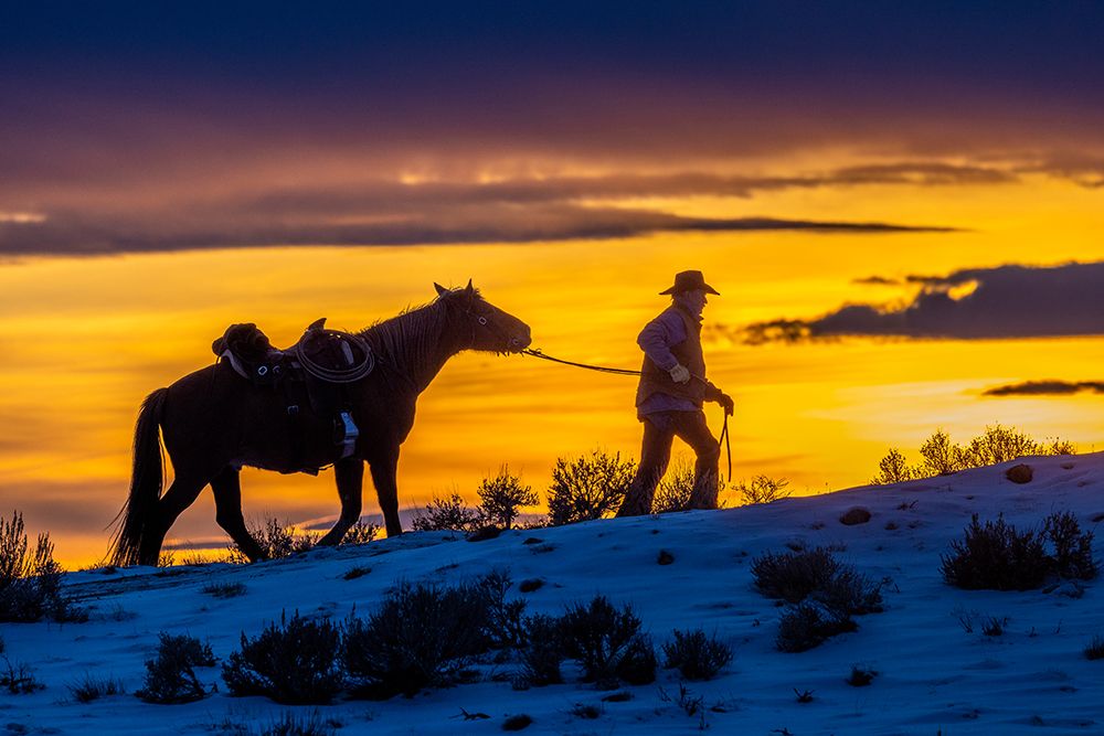 USA- Wyoming. Hideout Horse Ranch- wrangler and horse at sunset. art print by Hollice Looney for $57.95 CAD
