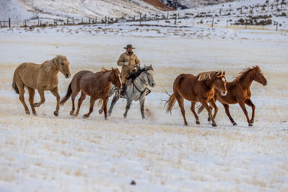 USA- Wyoming. Hideout Horse Ranch- wrangler and horses in snow. art print by Hollice Looney for $57.95 CAD