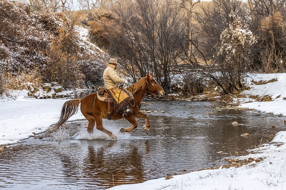 USA- Wyoming. Hideout Horse Ranch- wrangler crossing the stream on horseback. art print by Hollice Looney for $57.95 CAD