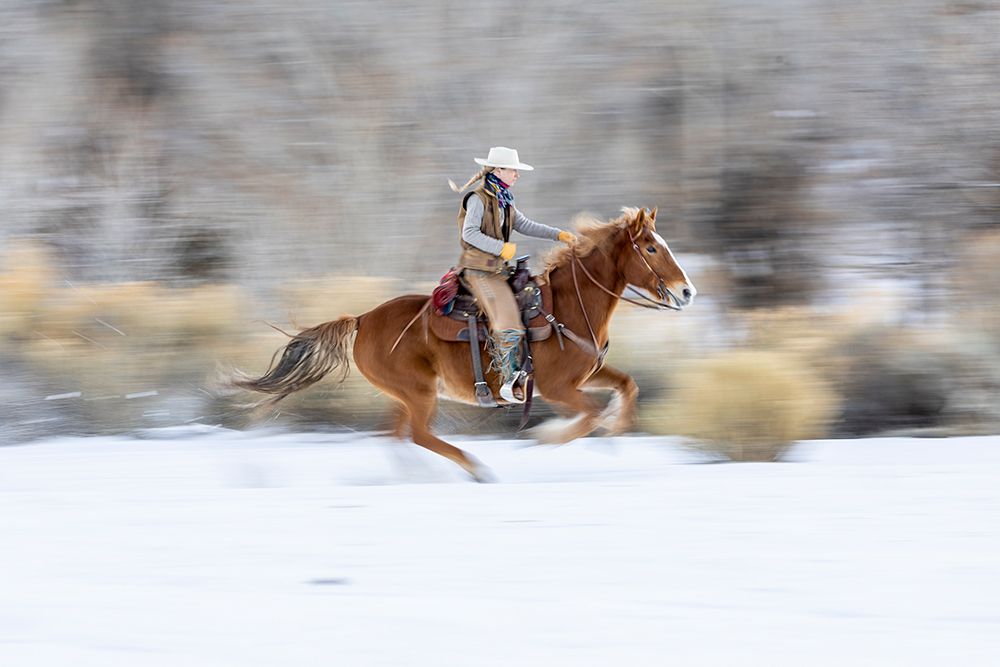 USA- Wyoming. Hideout Horse Ranch- wrangler on horseback in snow. art print by Hollice Looney for $57.95 CAD