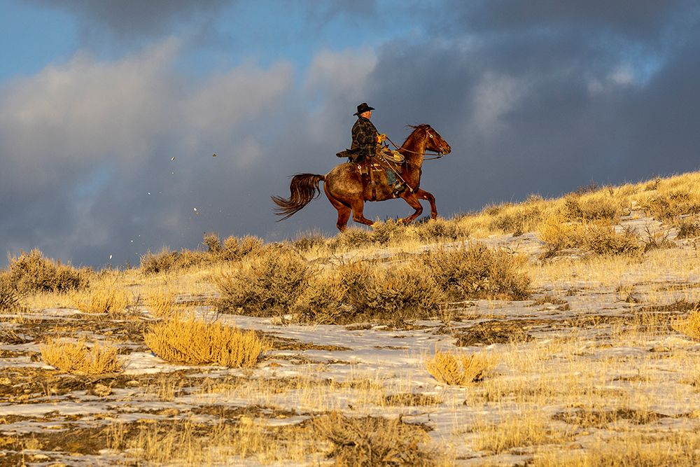 USA- Wyoming. Hideout Horse Ranch- wrangler on horseback in snow. art print by Hollice Looney for $57.95 CAD