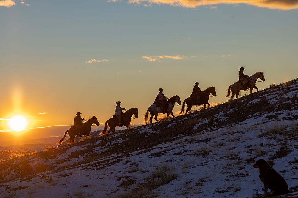 USA- Wyoming. Hideout Horse Ranch- wranglers on horseback in snow at sunset. art print by Hollice Looney for $57.95 CAD