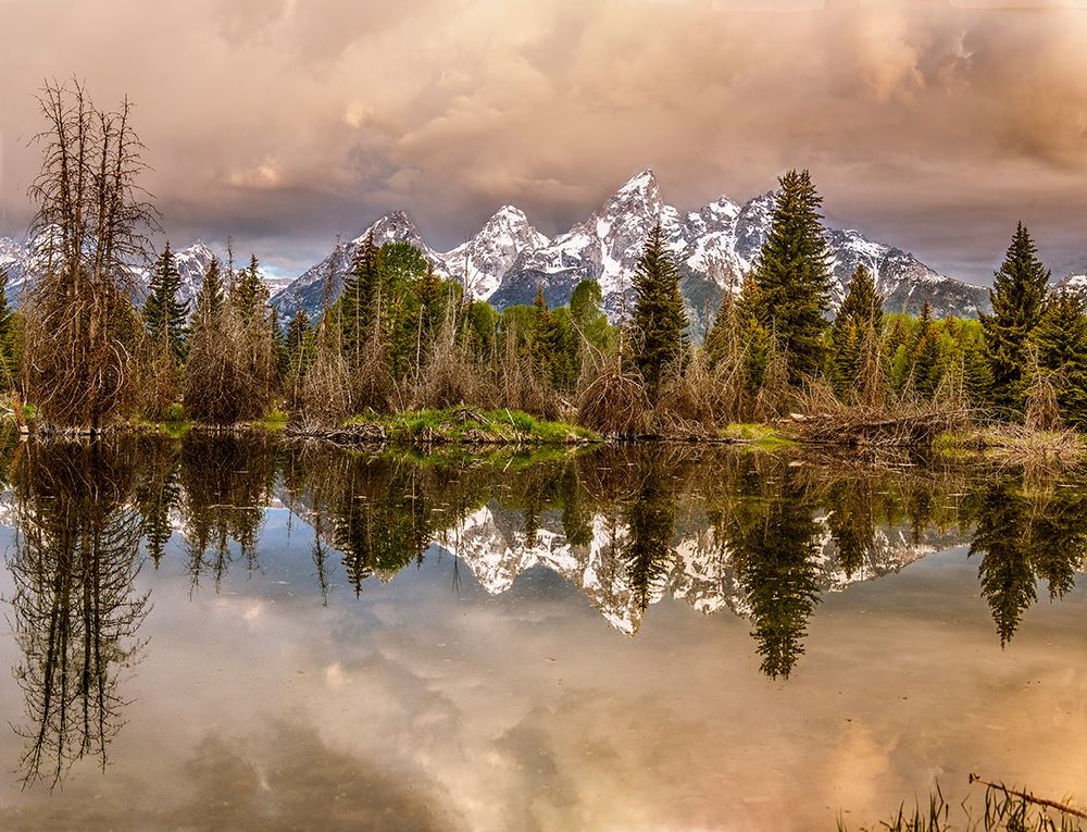 Schwabacher Landing-Tetons-Wyoming art print by John Ford for $57.95 CAD