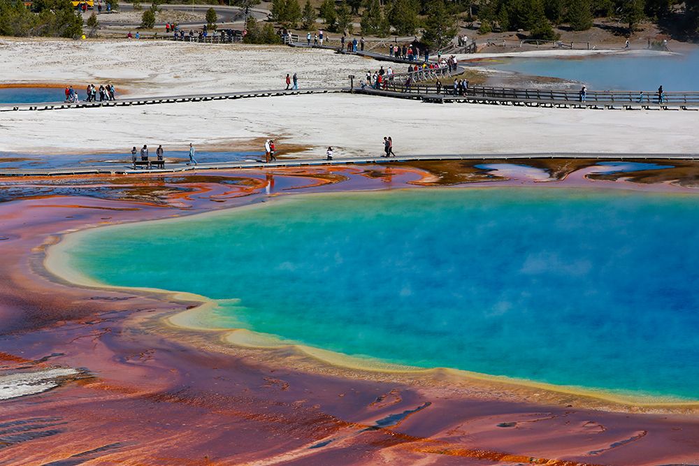 Yellowstone National Park-USA-Wyoming Grand Prismatic Spring with tourist art print by Jolly Sienda for $57.95 CAD