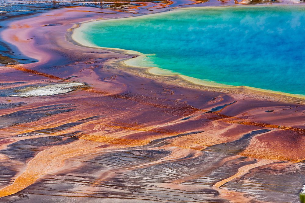 Yellowstone National Park-USA-Wyoming Grand Prismatic Spring-Midway Geyser Basin art print by Jolly Sienda for $57.95 CAD