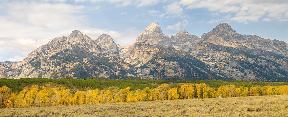Wyoming- Grand Teton National Park. Teton Range with Grand Teton and golden Aspen trees art print by Jamie and Judy Wild for $57.95 CAD