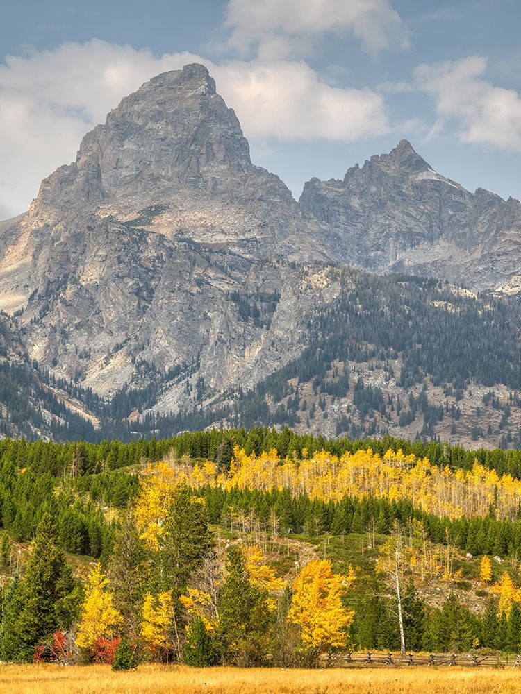 Wyoming- Grand Teton National Park. Teton Range with Grand Teton and golden Aspen trees art print by Jamie and Judy Wild for $57.95 CAD