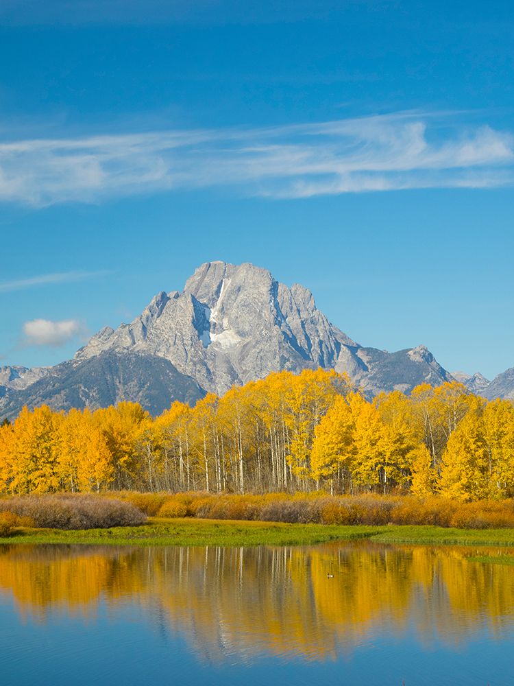 Wyoming- Grand Teton National Park. Mount Moran and golden Aspen trees art print by Jamie and Judy Wild for $57.95 CAD