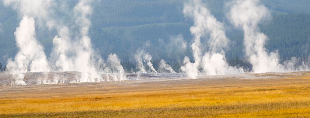Wyoming- Yellowstone National Park. Thermal activity at Lower Geyser Basin art print by Jamie and Judy Wild for $57.95 CAD