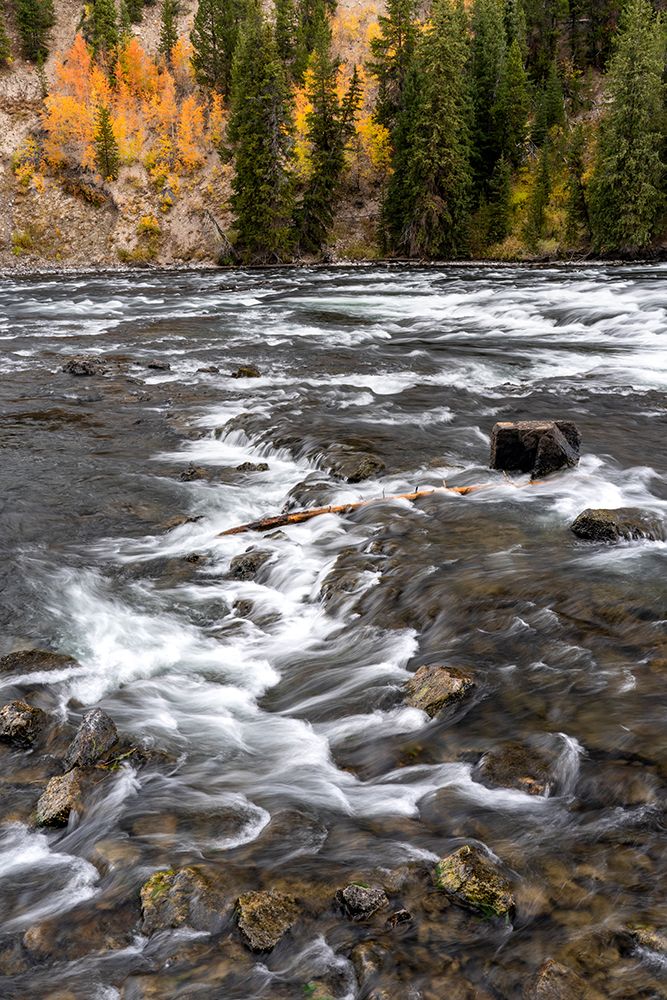 USA-Wyoming. LeHardys Rapids-Yellowstone National Park. art print by Judith Zimmerman for $57.95 CAD