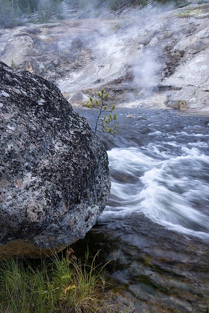 USA-Wyoming. Thermal runoff-rapids-and boulder on the Madison River-Yellowstone National Park. art print by Judith Zimmerman for $57.95 CAD