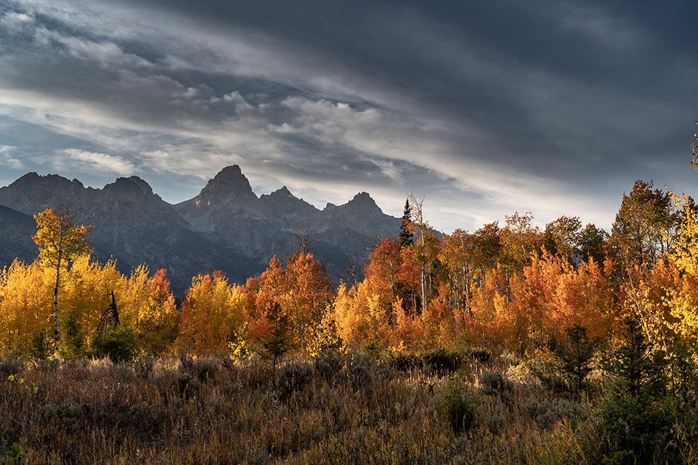 USA-Wyoming. Autumn evening near Black Tail Butte-Grand Teton National Park. art print by Judith Zimmerman for $57.95 CAD