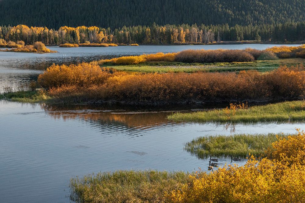 USA-Wyoming. Autumn evening at the Oxbow Bend-Grand Teton National Park. art print by Judith Zimmerman for $57.95 CAD