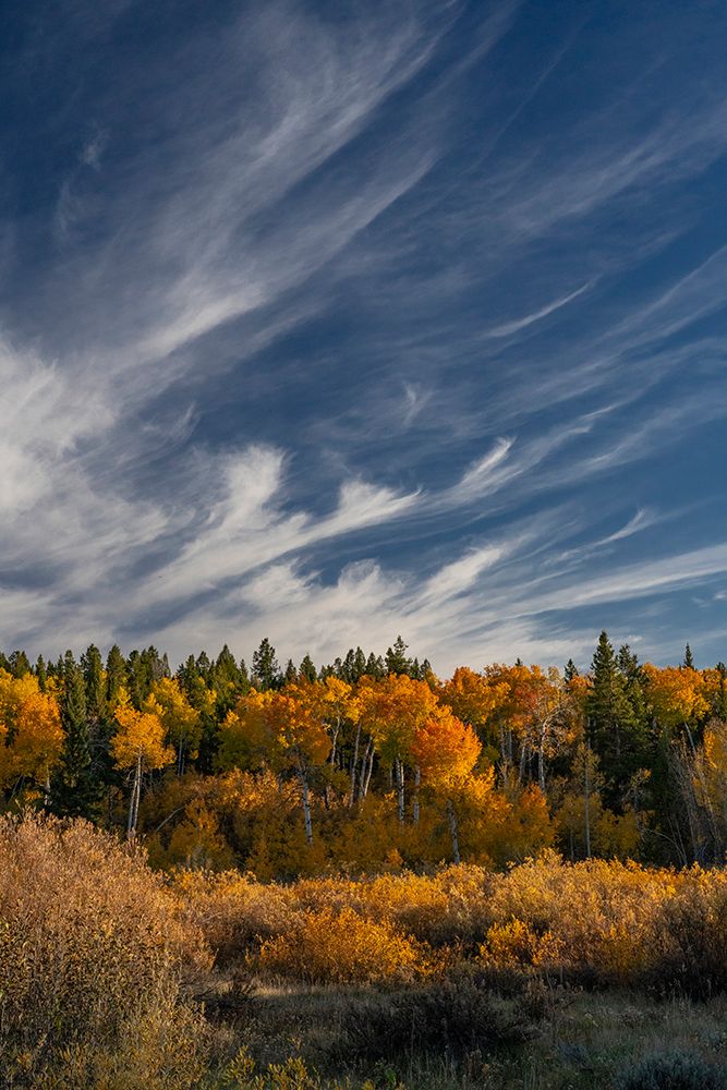 USA-Wyoming. Autumn afternoon clouds-Grand Teton National Park. art print by Judith Zimmerman for $57.95 CAD