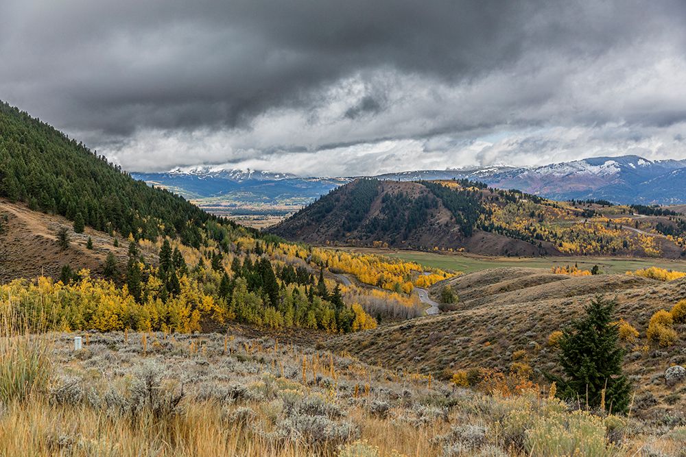 Scenic landscapes within the Grand Teton National Park. art print by Larry Richardson for $57.95 CAD