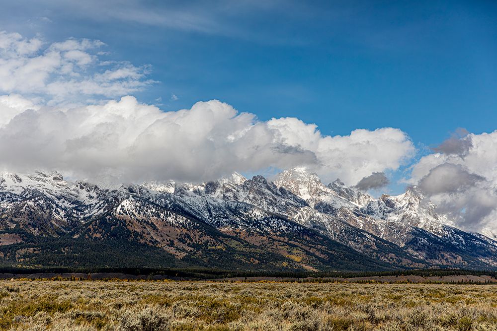 Scenic landscapes within the Grand Teton National Park. art print by Larry Richardson for $57.95 CAD