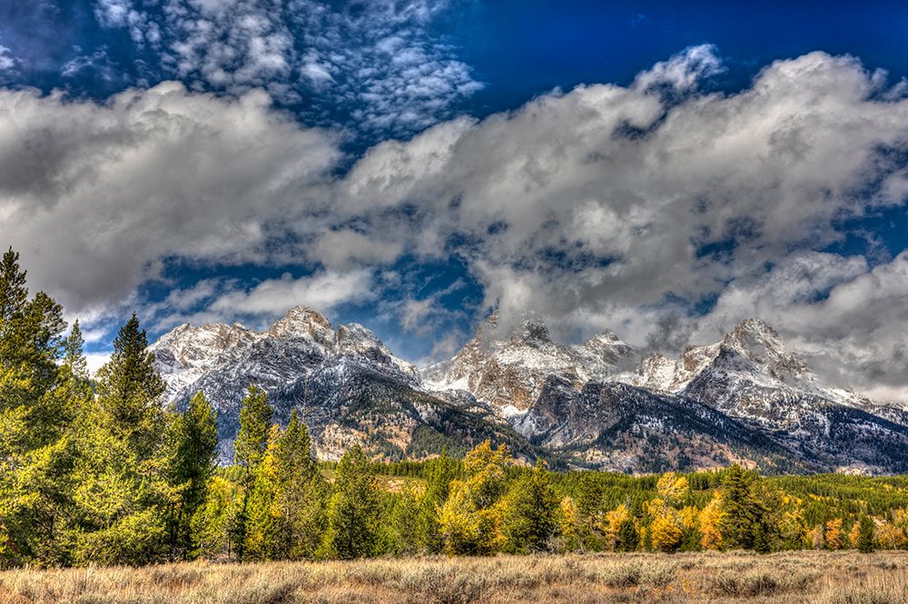 Scenic landscapes within the Grand Teton National Park. art print by Larry Richardson for $57.95 CAD