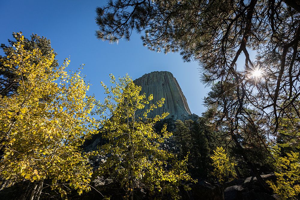 Devils Tower National Monument, a rare form of igneous rock, rises out of the Wyoming landscape. art print by Larry Richardson for $57.95 CAD
