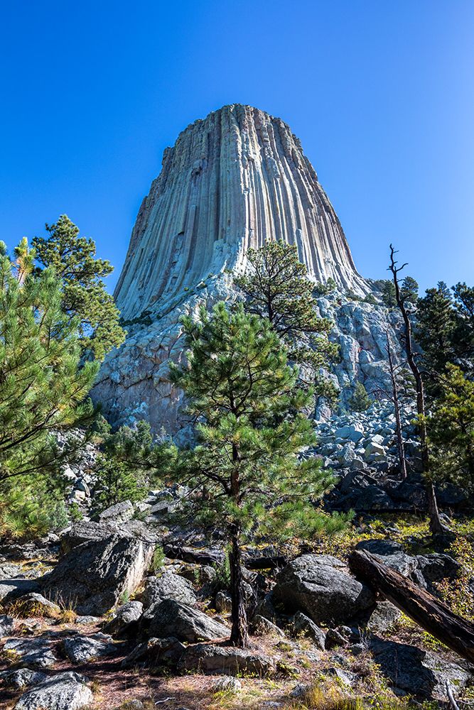 Devils Tower National Monument, a rare form of igneous rock, rises out of the Wyoming landscape. art print by Larry Richardson for $57.95 CAD