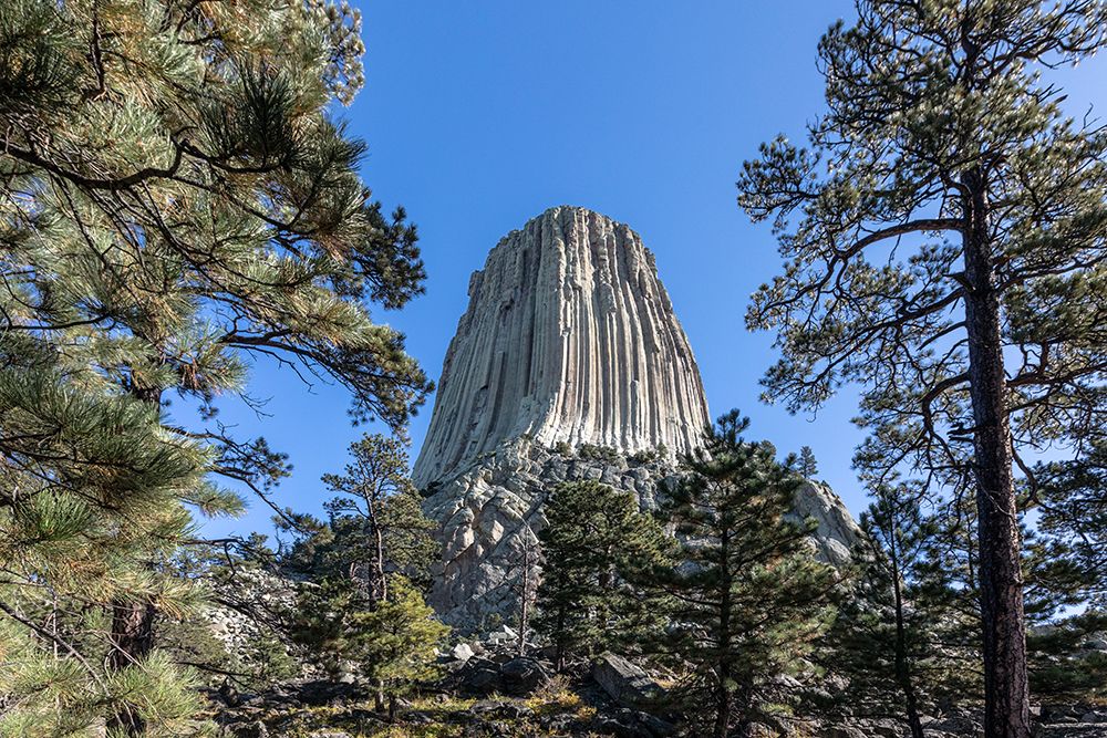 Devils Tower National Monument, a rare form of igneous rock, rises out of the Wyoming landscape. art print by Larry Richardson for $57.95 CAD