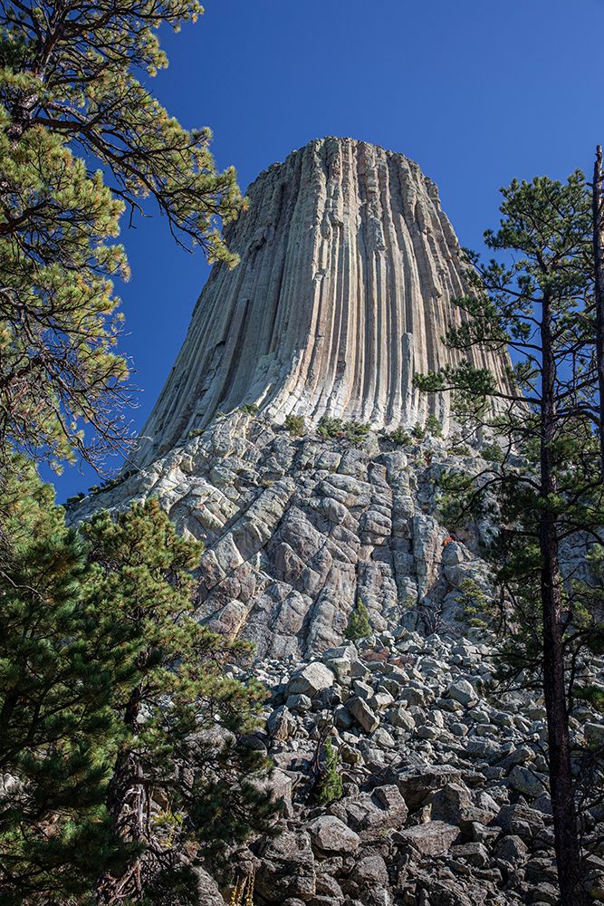 Devils Tower National Monument, a rare form of igneous rock, rises out of the Wyoming landscape. art print by Larry Richardson for $57.95 CAD
