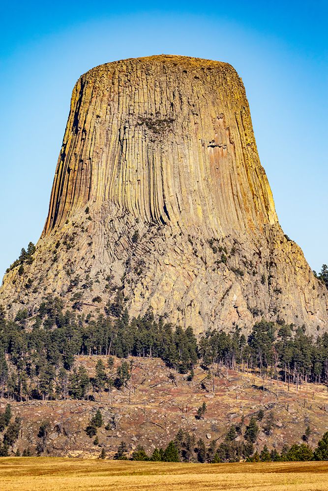 Devils Tower National Monument, a rare form of igneous rock, rises out of the Wyoming landscape. art print by Larry Richardson for $57.95 CAD