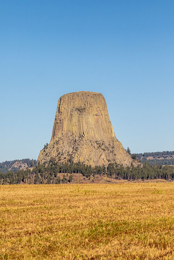 Devils Tower National Monument, a rare form of igneous rock, rises out of the Wyoming landscape. art print by Larry Richardson for $57.95 CAD