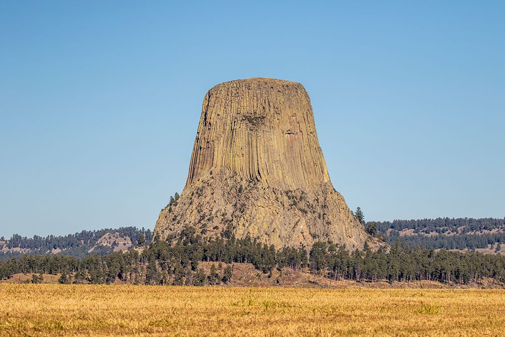 Devils Tower National Monument, a rare form of igneous rock, rises out of the Wyoming landscape. art print by Larry Richardson for $57.95 CAD