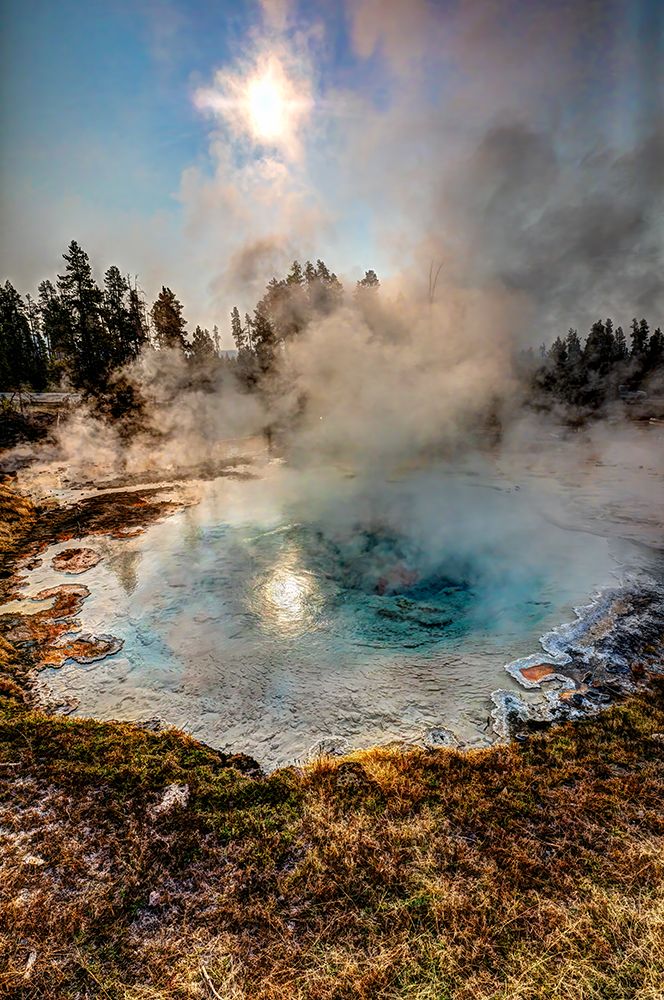 Geysers spew boiling water and steam into the air. art print by Larry Richardson for $57.95 CAD
