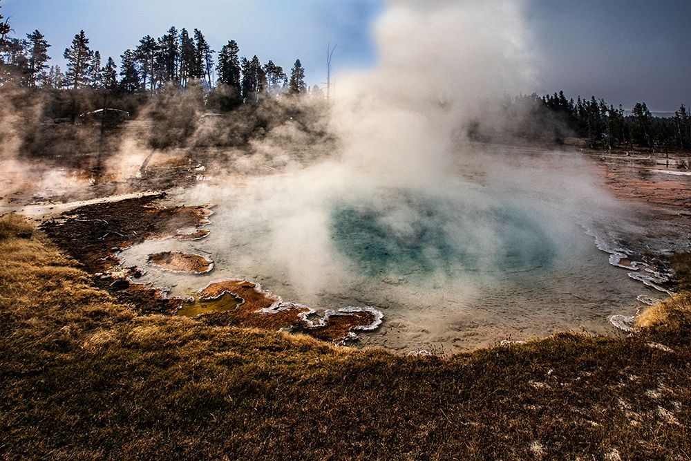 Geysers spew boiling water and steam into the air. art print by Larry Richardson for $57.95 CAD