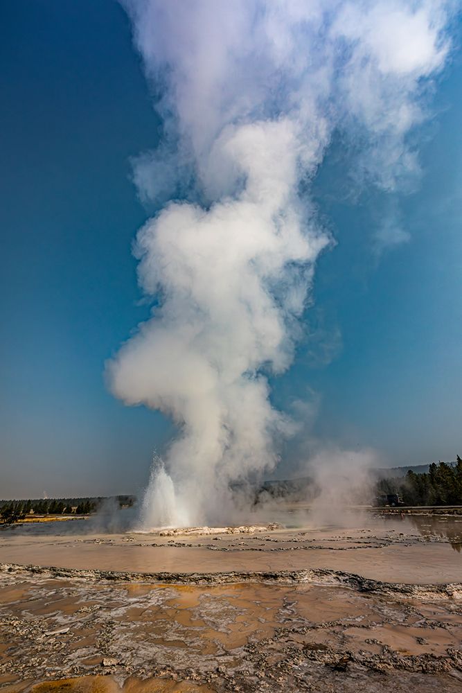 Geysers spew boiling water and steam into the air. art print by Larry Richardson for $57.95 CAD