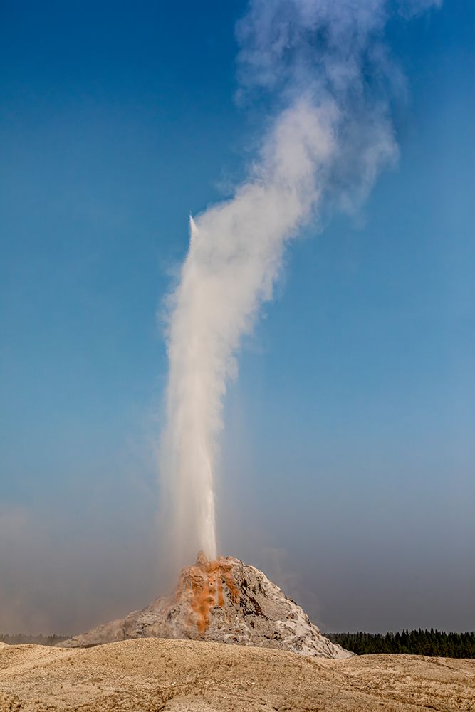 Geysers spew boiling water and steam into the air. art print by Larry Richardson for $57.95 CAD