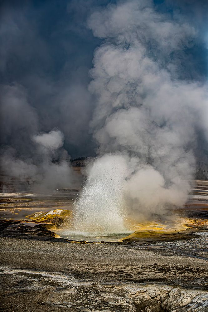 Geysers spew boiling water and steam into the air. art print by Larry Richardson for $57.95 CAD