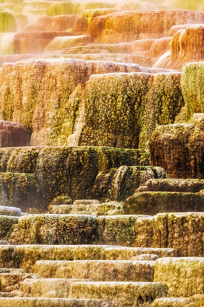 Travertine terraces at Minerva Spring-Mammoth Hot Springs-Yellowstone National Park-Wyoming-USA art print by Russ Bishop for $57.95 CAD