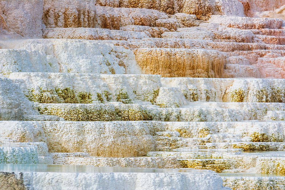 Travertine terraces at Minerva Spring-Mammoth Hot Springs-Yellowstone National Park-Wyoming-USA art print by Russ Bishop for $57.95 CAD