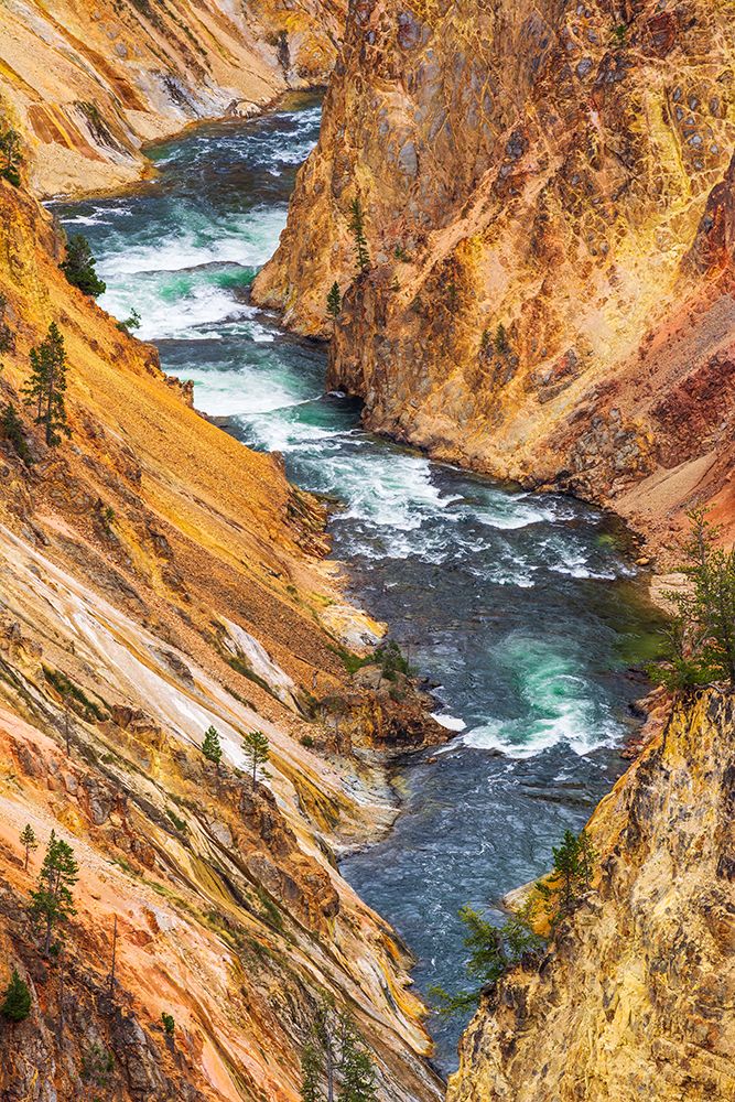 The Yellowstone River in the Grand Canyon of the Yellowstone-Yellowstone National Park-Wyoming-USA art print by Russ Bishop for $57.95 CAD