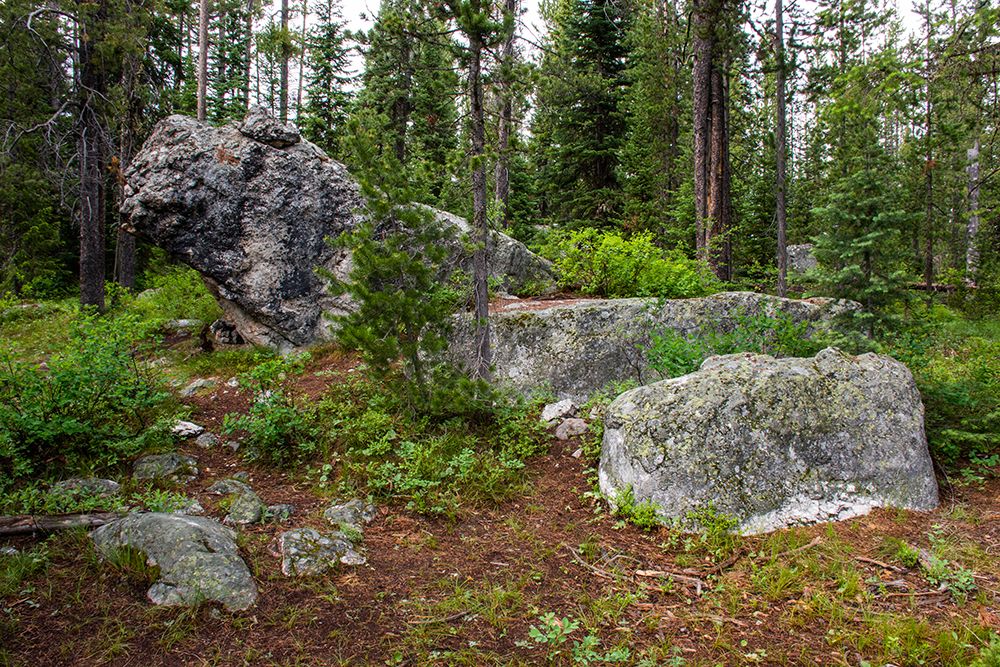 Glacial erratic boulders-Grand Tetons National Park-Wyoming-USA art print by Roddy Scheer for $57.95 CAD