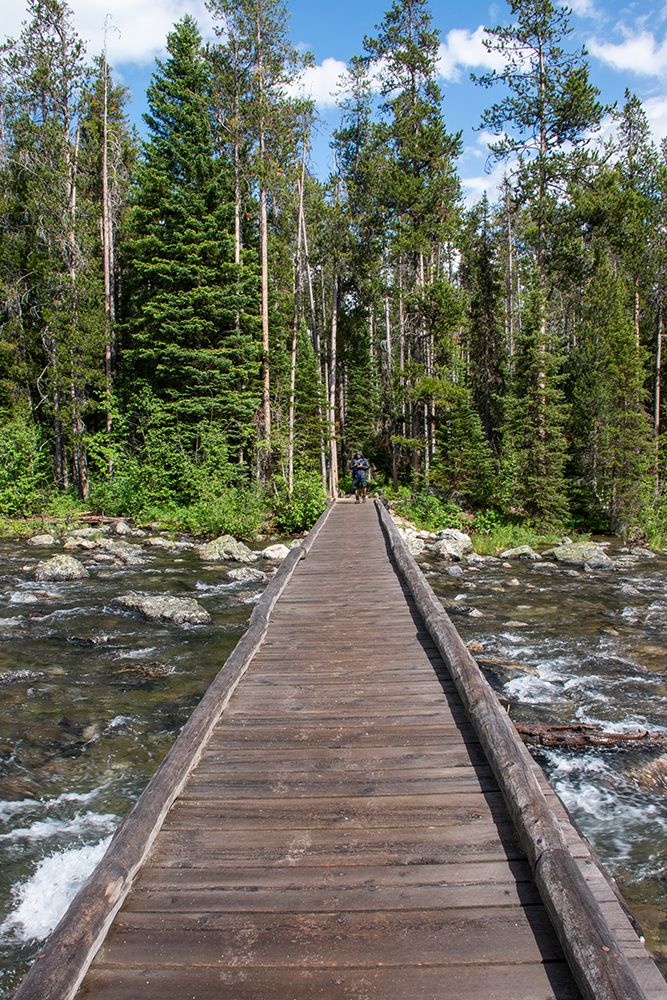 Footbridge over String Lake-Grand Tetons National Park-Wyoming-USA. (Editorial Use Only) art print by Roddy Scheer for $57.95 CAD